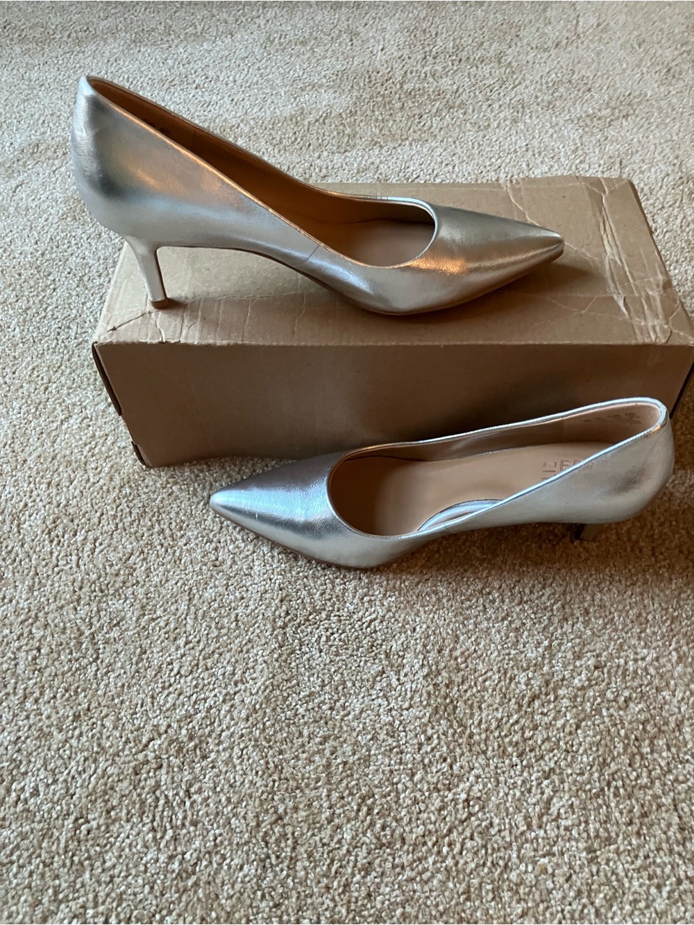 Size 9 Silver Naturalizer Pumps